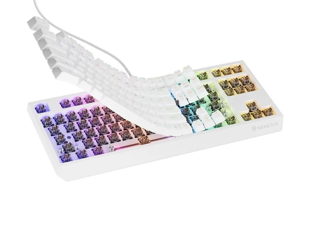 Genesis Gaming Keyboard Thor 230 TKL, Brown Outemu Hot Swap, White, 2005901969443301 06 