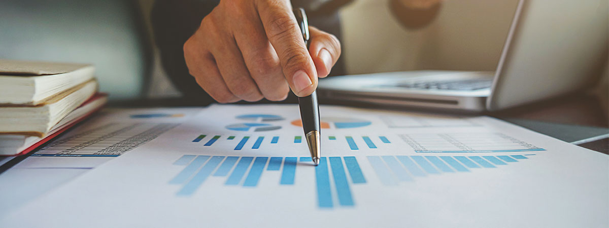 How to check a company's annual financial statement?