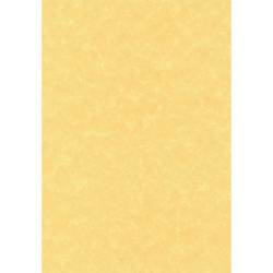 Хартия пергамент златист A4 95гр 25л