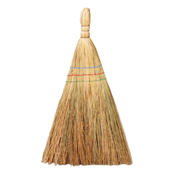 Метла обикновена