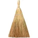 Ordinary broom, 1000000000021046 02 