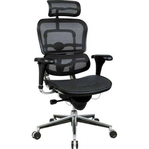 Chair Ergohuman mesh black, 1000000000021463