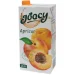 Joocy apricot juice 12% 2 liters, 1000000000023218 02 