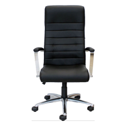 Chair Florida steel eco leather black