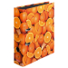 Binder HERLITZ Orange A4 8cm, 1000000000021544 02 