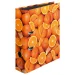 Binder HERLITZ Orange A4 8cm, 1000000000021544 02 