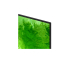 Смарт телевизор Samsung 55QN80H 55