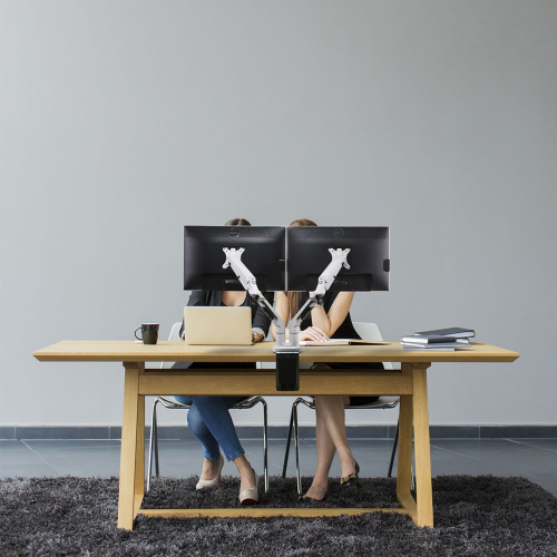 Monitor stand OK DLB851D2 two white, 1000000000035255 04 