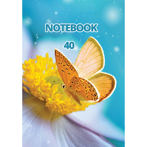 Тетрадка A5 ШР МК 40л вестник, 1000000000004839 03 