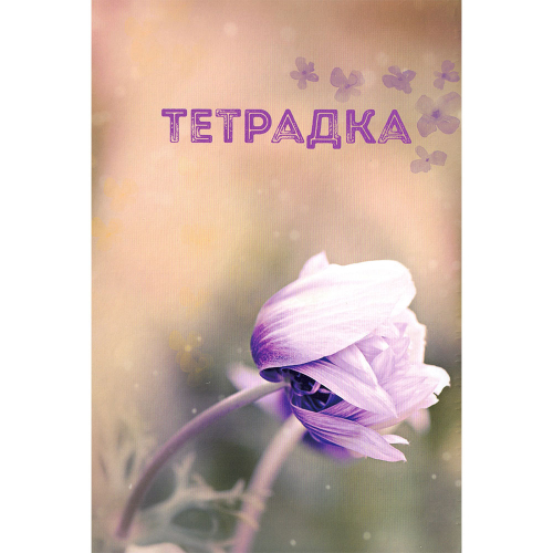 Notebook A5 2 topics HD SP. 100sh offset, 1000000000005063 06 