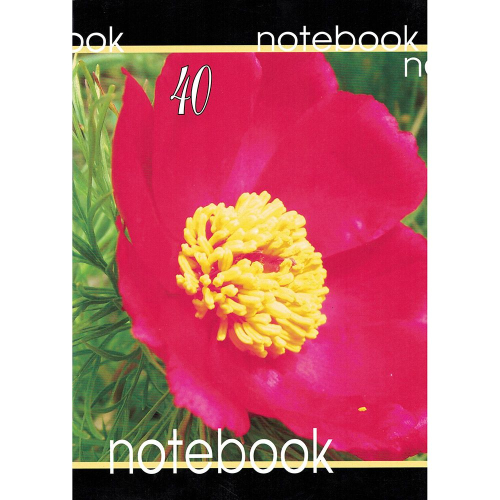 Тетрадка A4 каре МК 40л вестник, 1000000000005272 02 