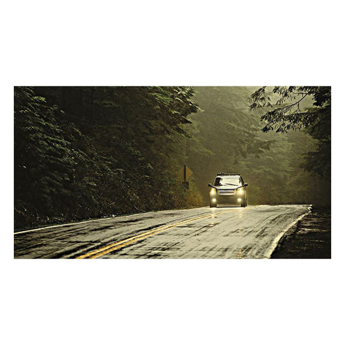 Очила нощно виждане Wedo 47599 за очила, 1000000000030636 06 