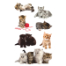 Avery stickers kittens 21pcs, 1000000000052157 09 