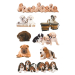 Avery stickers puppies 24pcs, 1000000000052158 09 