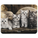 Mouse Pad Hama Animal, photos of animals, 2004007249547903 06 