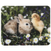 Mouse Pad Hama Animal, photos of animals, 2004007249547903 06 