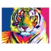 Set for coloring acrylic 80908 Tiger, 1000000000044666 05 