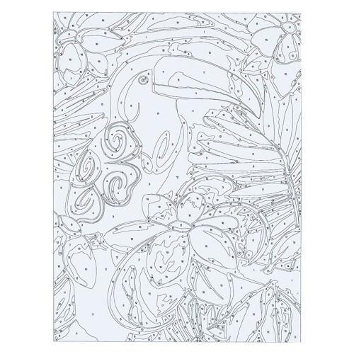 Комплект за рисуване акрил 80911 Папагал, 1000000000044669 03 