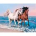 Acrylic painting set 89659 Horses, 1000000000042808 05 