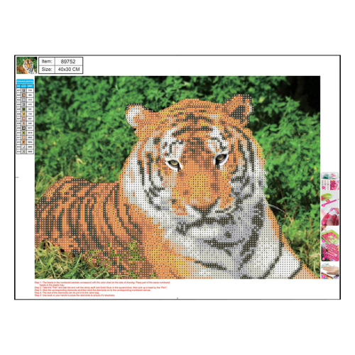 Mosaic Centrum 5D Diamond 89752 30/40cm, 1000000000041577 02 