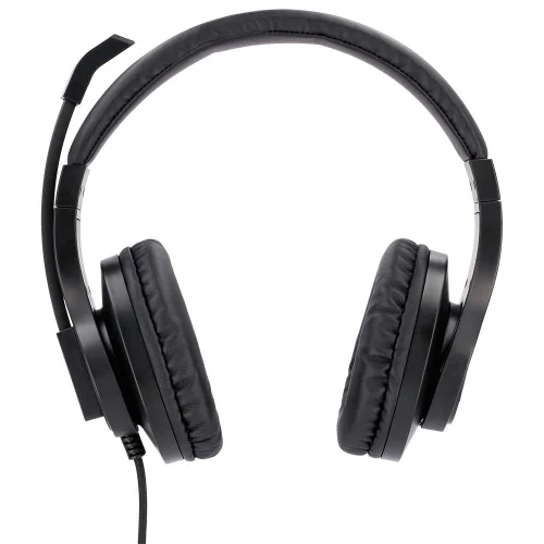 Hama headphones + mic HS-P300 2X3.5mm, 1000000000038788 06 