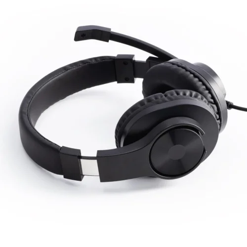 Hama headphones + mic HS-P300 2X3.5mm, 1000000000038788 17 