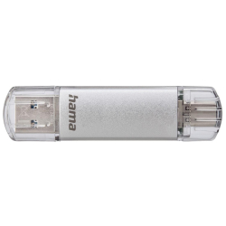 Hama USB 3.1/Type-C 3.1 C-Laeta 256GB Silver