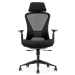 Chair VISLA BLACK HR K2-BH-12 black, 1000000000042247 06 