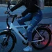 Electric bicycle Slider Daily E2, 1000000000043626 13 