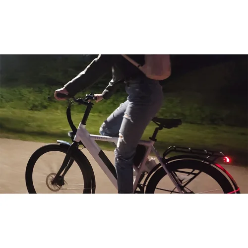 Electric bicycle Slider Daily E2, 1000000000043626 10 
