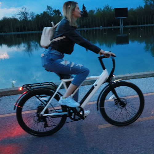 Велосипед електрически Slider Daily E2, 1000000000043626 10 