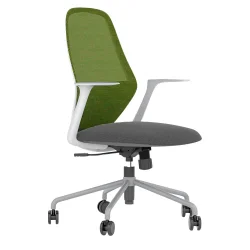 Chair Tema gray gray/green