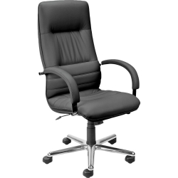 Chair Linea Steel genuine leather black