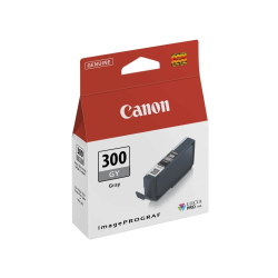 Ink cartridge Canon PFI-300 GY Grey Оriginal 14 ml
