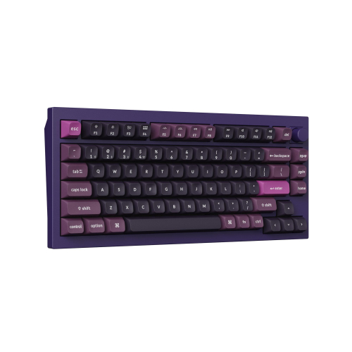 Wireless Mechanical Keyboard Keychron Q1 MAX Gateron Purple, 2004895248874300 04 