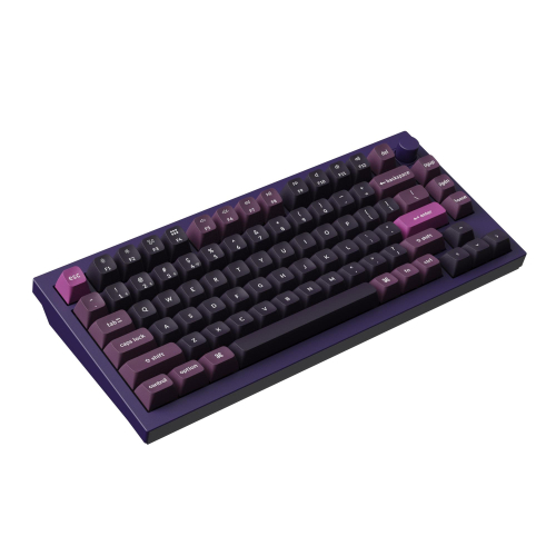 Wireless Mechanical Keyboard Keychron Q1 MAX Gateron Purple, 2004895248874300 05 