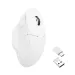 Wireless Mouse Keychron M7 1000Hz, Matte White, 2004895248875147 03 