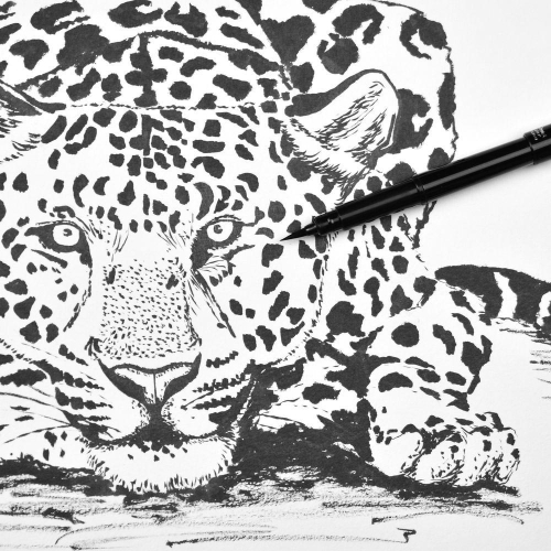 Calligraphic brush Pentel + 4 refills, 1000000000028215 07  — OK Office Calligraphic brush Pentel + 4 refills, 1000000000028215 07