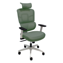 Office chair Ergo Green