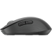 Logitech Signature M650, Wireless Mouse, Silent, Graphite, 2005099206097223 06  — OK Office Logitech Signature M650, Wireless Mouse, Silent, Graphite, 2005099206097223 06
