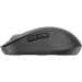 Logitech Signature M650 L, Wireless Mouse for Business, Silent, Graphite, 2005099206097278 06 