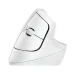 Wireless Mouse Logitech Lift Vertical Off-White, 2005099206099845 06 