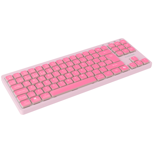 Canyon Keyboard OnType 10 Silent, Pink, 2005291485018931 03 