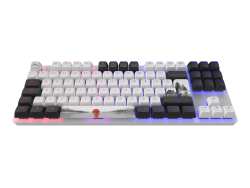 Dark Project Gaming Keyboard 87 Fuji Horizons RGB TKL