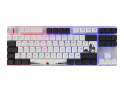 Геймърска клавиатура Dark Project 87 Fuji RGB TKL, 2005292910032652 02 