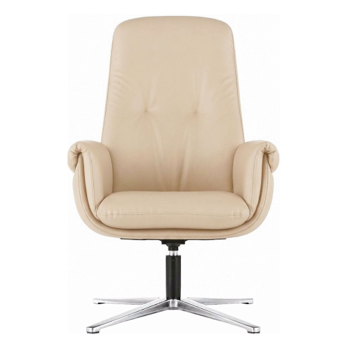 Fiora conference chair eco leather beige, 1000000000053971 02 