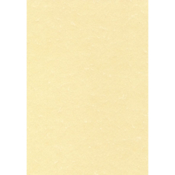 Paper pergament шchampagne A4 95g 25sh