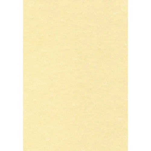 Paper pergament шchampagne A4 95g 25sh, 1000000000010648
