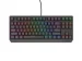 Genesis Gaming Keyboard Thor 230 TKL, Black, Red Black Hot Swap, 2005901969443264 06 