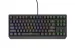 Genesis Gaming Keyboard Thor 230 TKL US RGB Mechanical Outemu Brown Black Hot Swap, 2005901969443295 07 